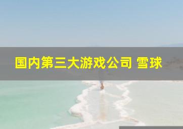 国内第三大游戏公司 雪球